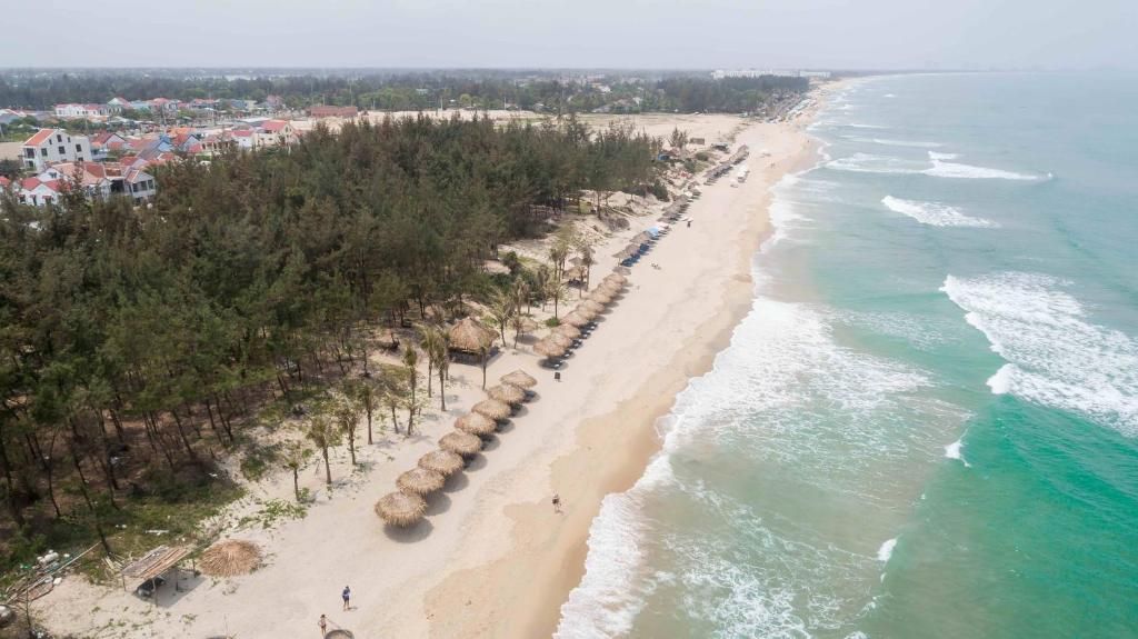 Aerial view of An Bang Beach near Hoi An with thatched umbrellas, pine trees, and the South China Sea